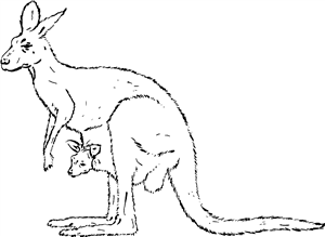 Kangaroo & Joey