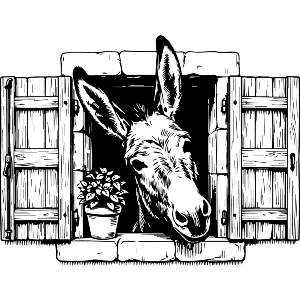 Donkey From The Window