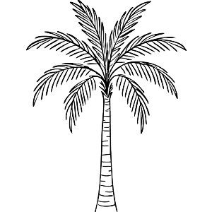 Palm tree