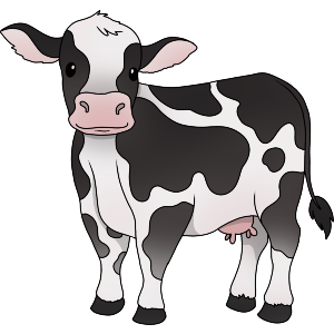 Cute Dairy Cow