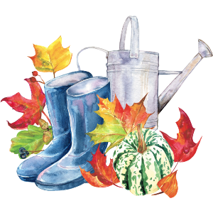 Watering Can, Boots And Pumpkins Watercolor  
