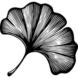 Ginkgo Leaf