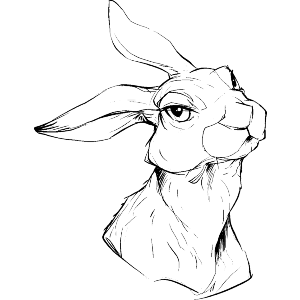 Rabbit Portrait