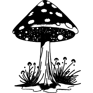Mystical Toadstool