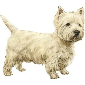 Westie Dog Side View