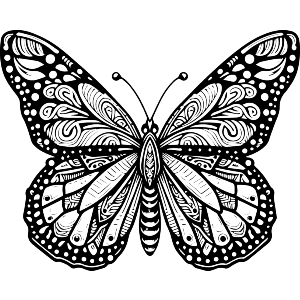 Monarch Butterfly