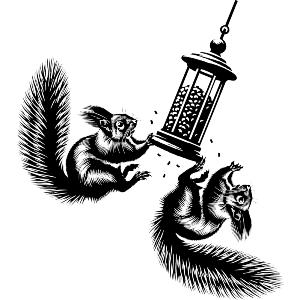 Squirrels & Birdfeeder