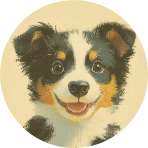 Happy Border Collie Puppy