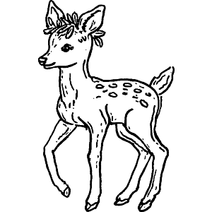 Baby Deer Side View