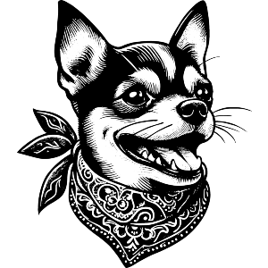 Cool Chihuahua