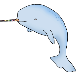 Narwhal