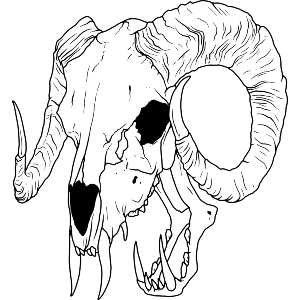 Demon Skull