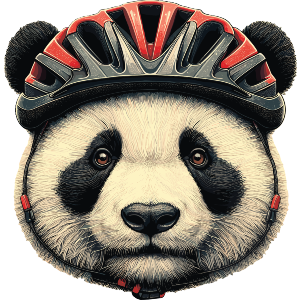 Panda Wearing Cycle Helmet