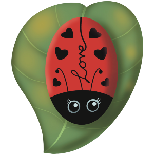 Ladybird Love Bug