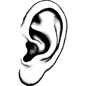Human Ear