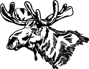 Moose Head