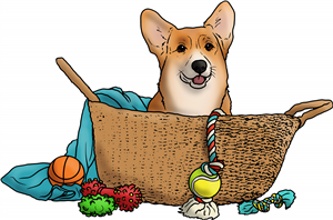 Corgi In Basket