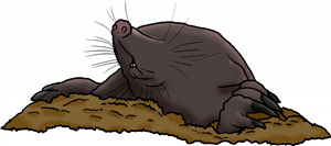 Blind Mole