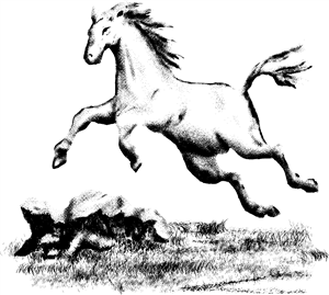 Jumping Horse