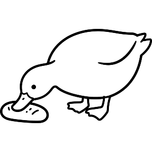 Duck with Bread