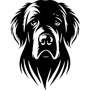 Newfoundland