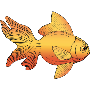 Goldfish