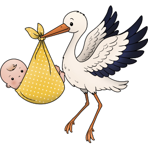 Stork Carrying Baby