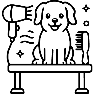 Dog Grooming Station