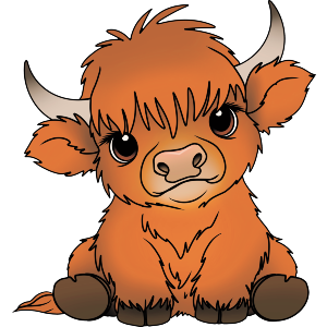 Baby Highland Cow