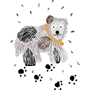 A Very Messy Dog
