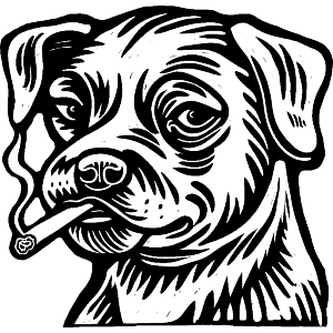 Smoking Dog