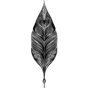 Vintage Feather