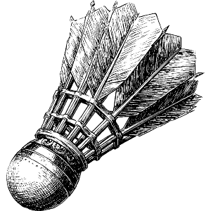 Badminton Shuttlecock