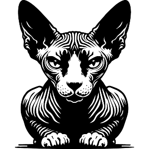 Crouching Sphynx Cat