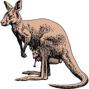 Kangaroo and his Son