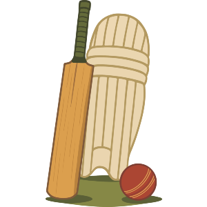 Cricket Essential Gear