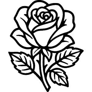 Single Rose