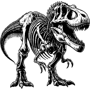 T Rex Dinosaur Skeleton