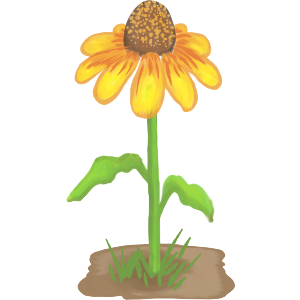 Yellow Wildflower