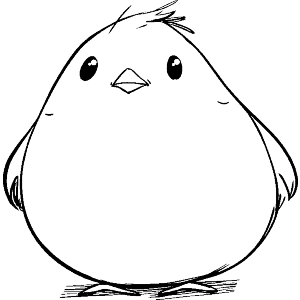 Little Fat Bird