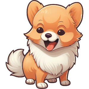 Pomeranian 