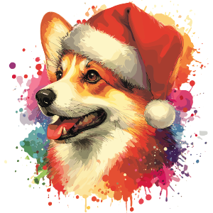 Welsh Corgi Wearing Santa Hat