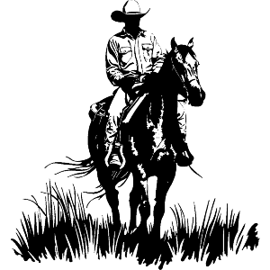 Cowboy Riding Horse 