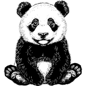 Panda Bear Cub Sitting