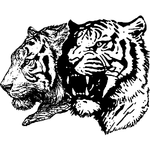 Tigers Portrait