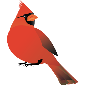 Red Cardinal
