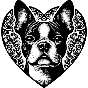 Boston Terrier Love Heart