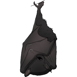 Hanging Bat