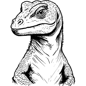 Komodo Dragon