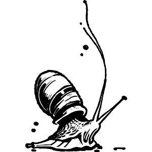 Giant African Land Snail